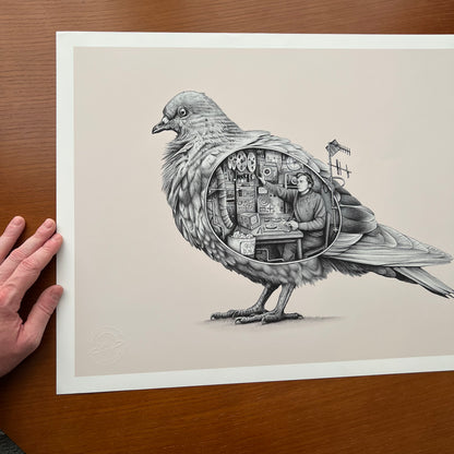 'Spy Pigeon' - 18 x 24" Giclee print