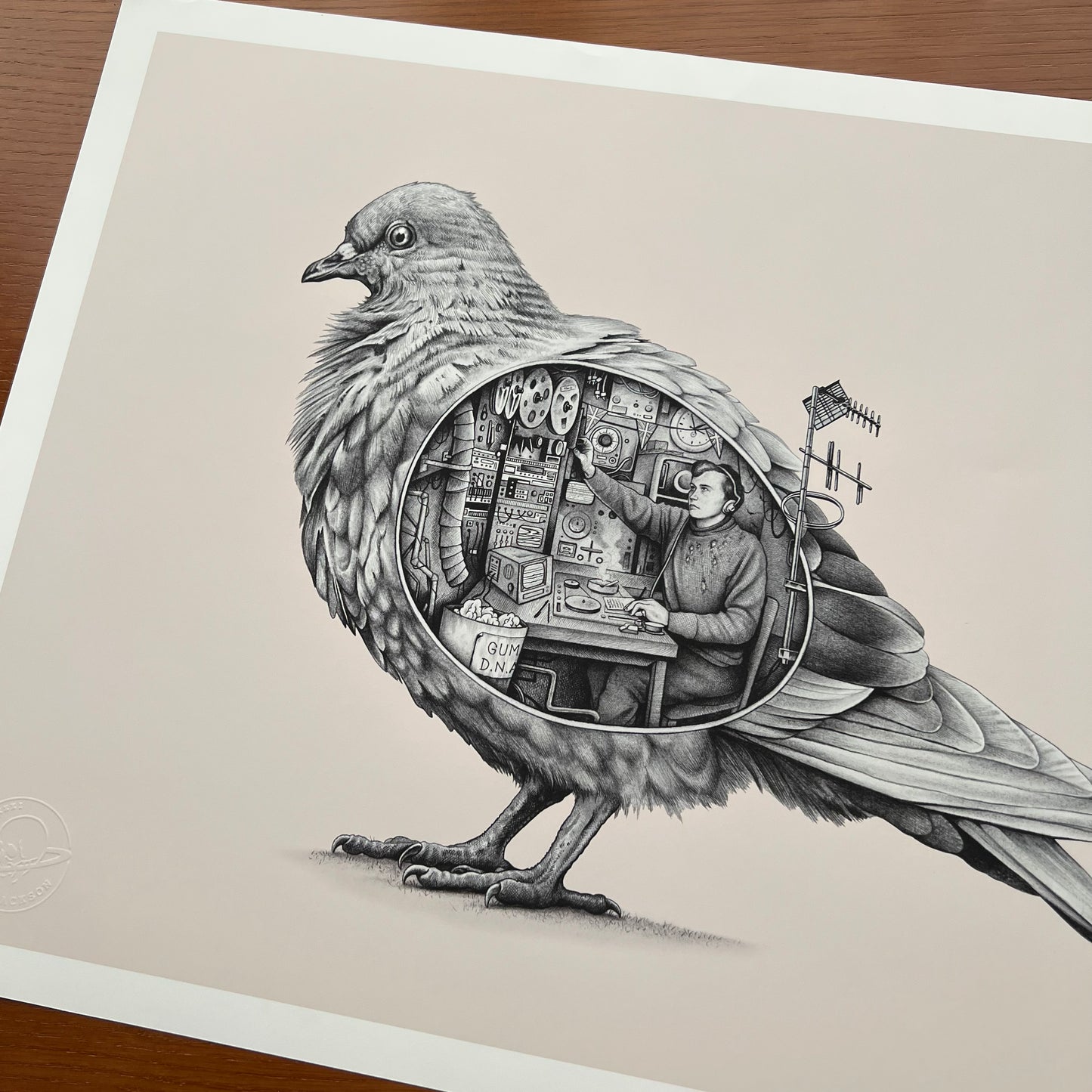 'Spy Pigeon' - 18 x 24" Giclee print