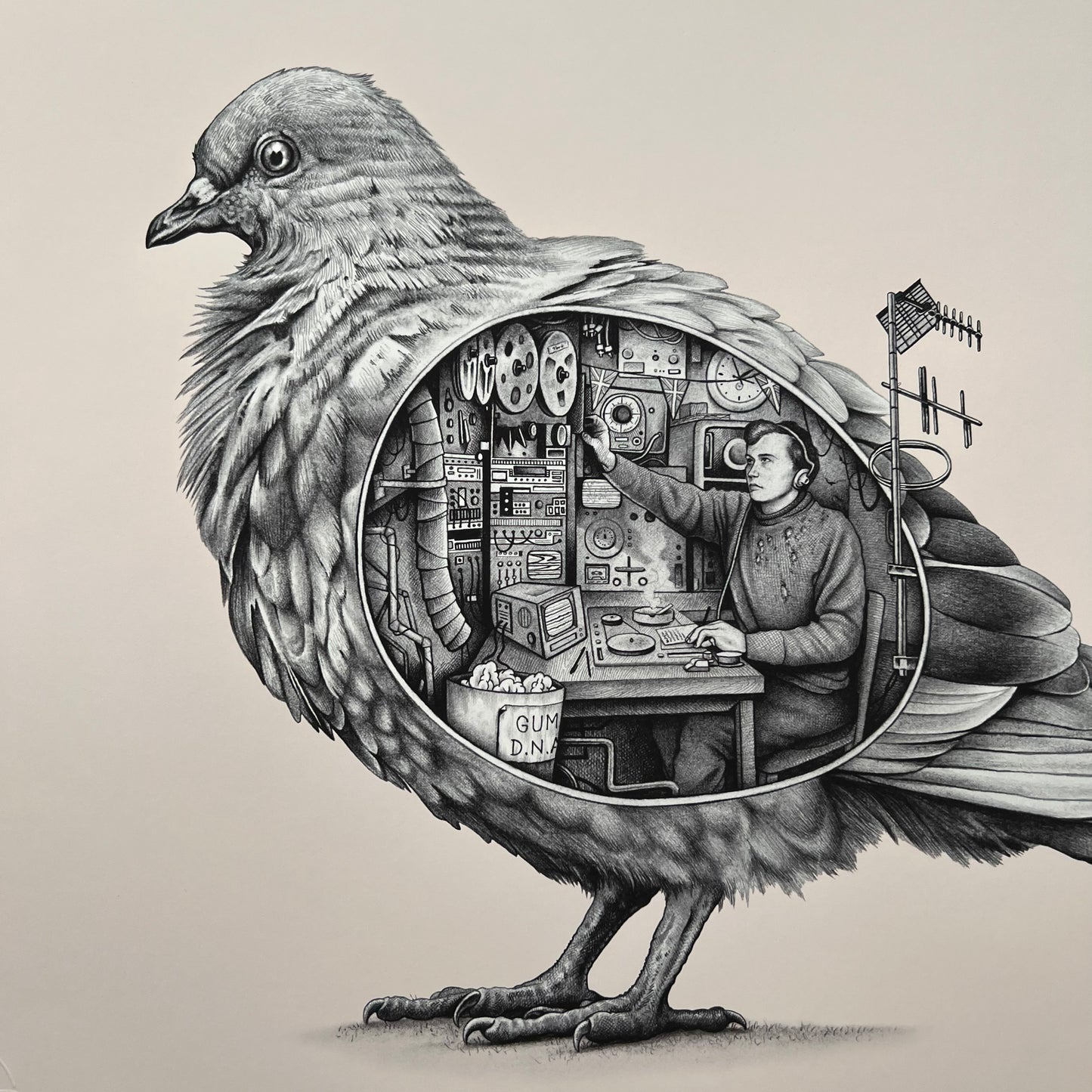 'Spy Pigeon' - 18 x 24" Giclee print