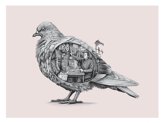 'Spy Pigeon' - 18 x 24" Giclee print
